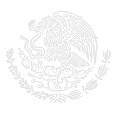 paginasdeafiliados.com.mx watermark